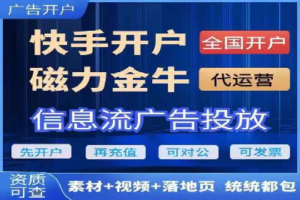 知名SEM公司案例分析：优化策略与成果